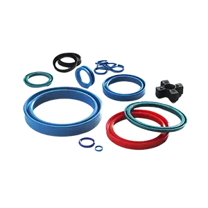 Seals O Rings And Gaskets